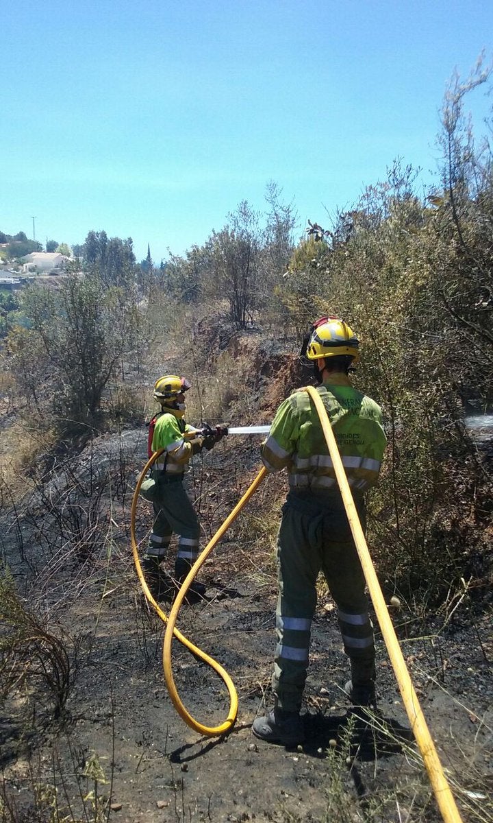 Incendio forestal en Callosa d&#039;en Sarrià