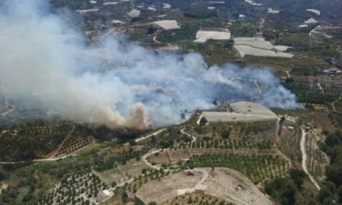 Incendio forestal en Callosa d&#039;en Sarrià