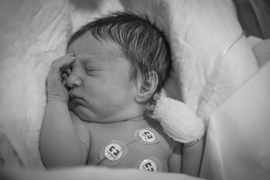 Bebés en la lucha de vivir