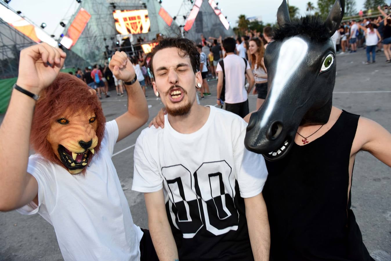 Animal Sound dispara las pulsaciones