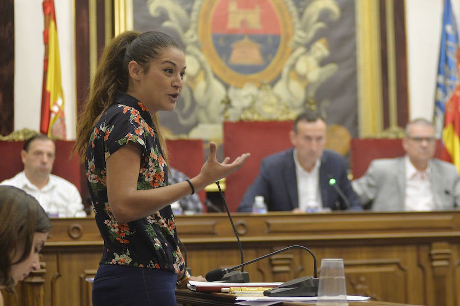 Pleno en el Ayuntamiento de Elche