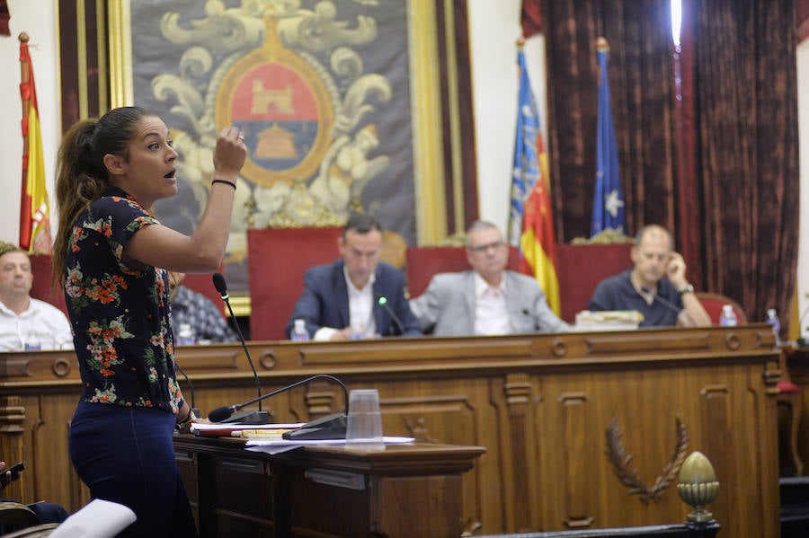 Pleno en el Ayuntamiento de Elche