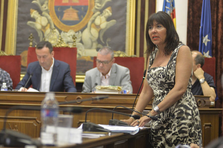 Pleno en el Ayuntamiento de Elche