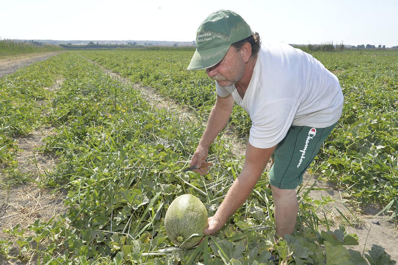 Respaldo unánime al proyecto del Parque Agrario de Carrizales