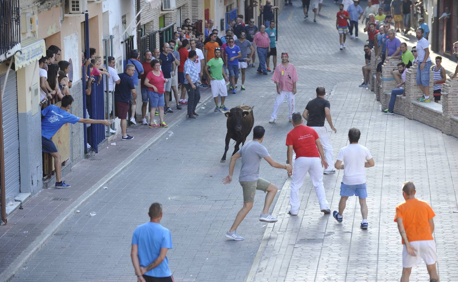 Segundo encierro de las fiestas de Moratalla