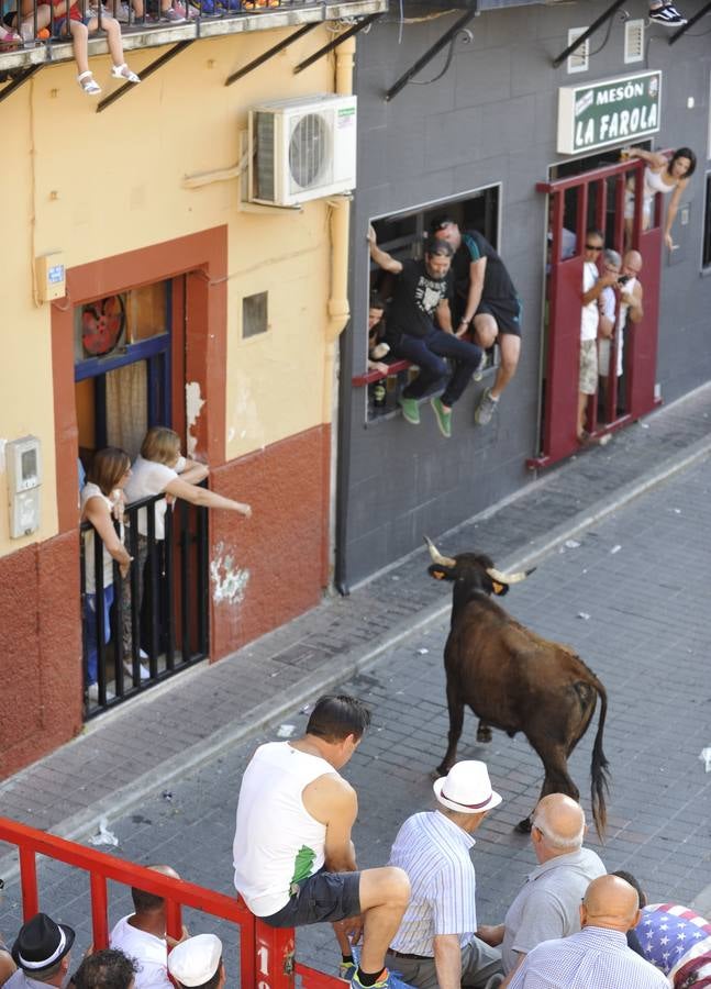 Segundo encierro de las fiestas de Moratalla