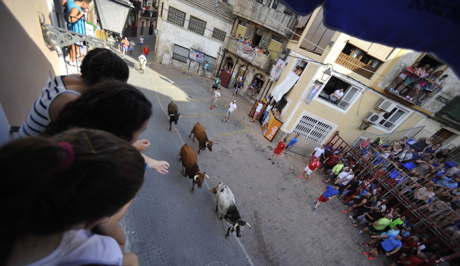 Segundo encierro de las fiestas de Moratalla