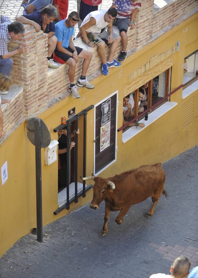 Segundo encierro de las fiestas de Moratalla