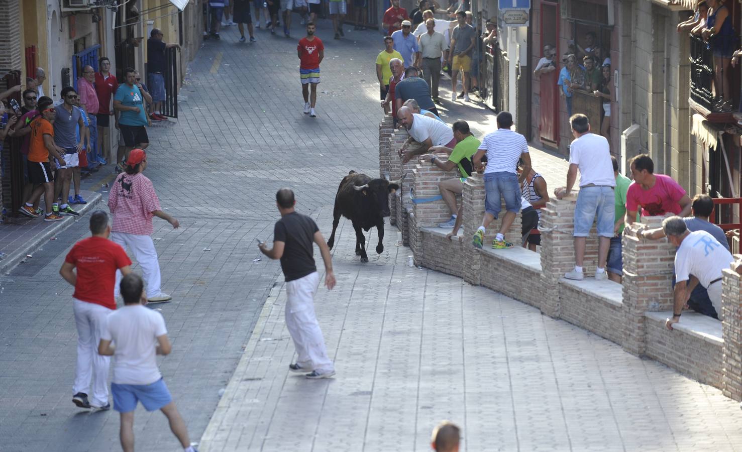 Segundo encierro de las fiestas de Moratalla
