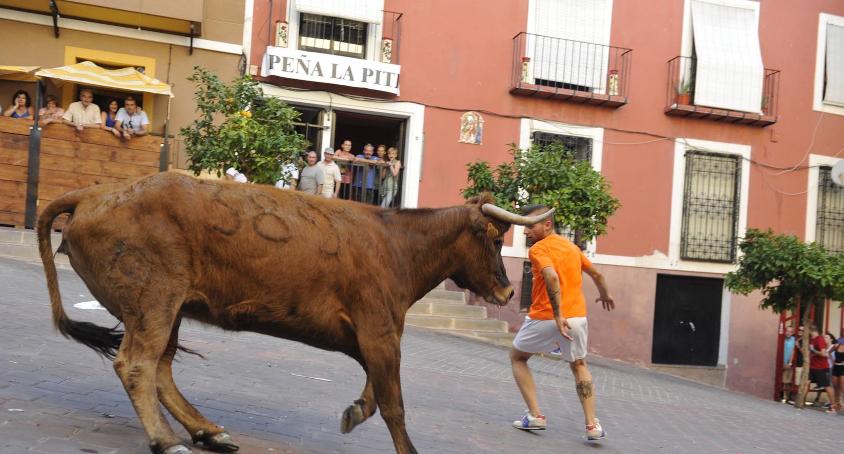 Segundo encierro de las fiestas de Moratalla