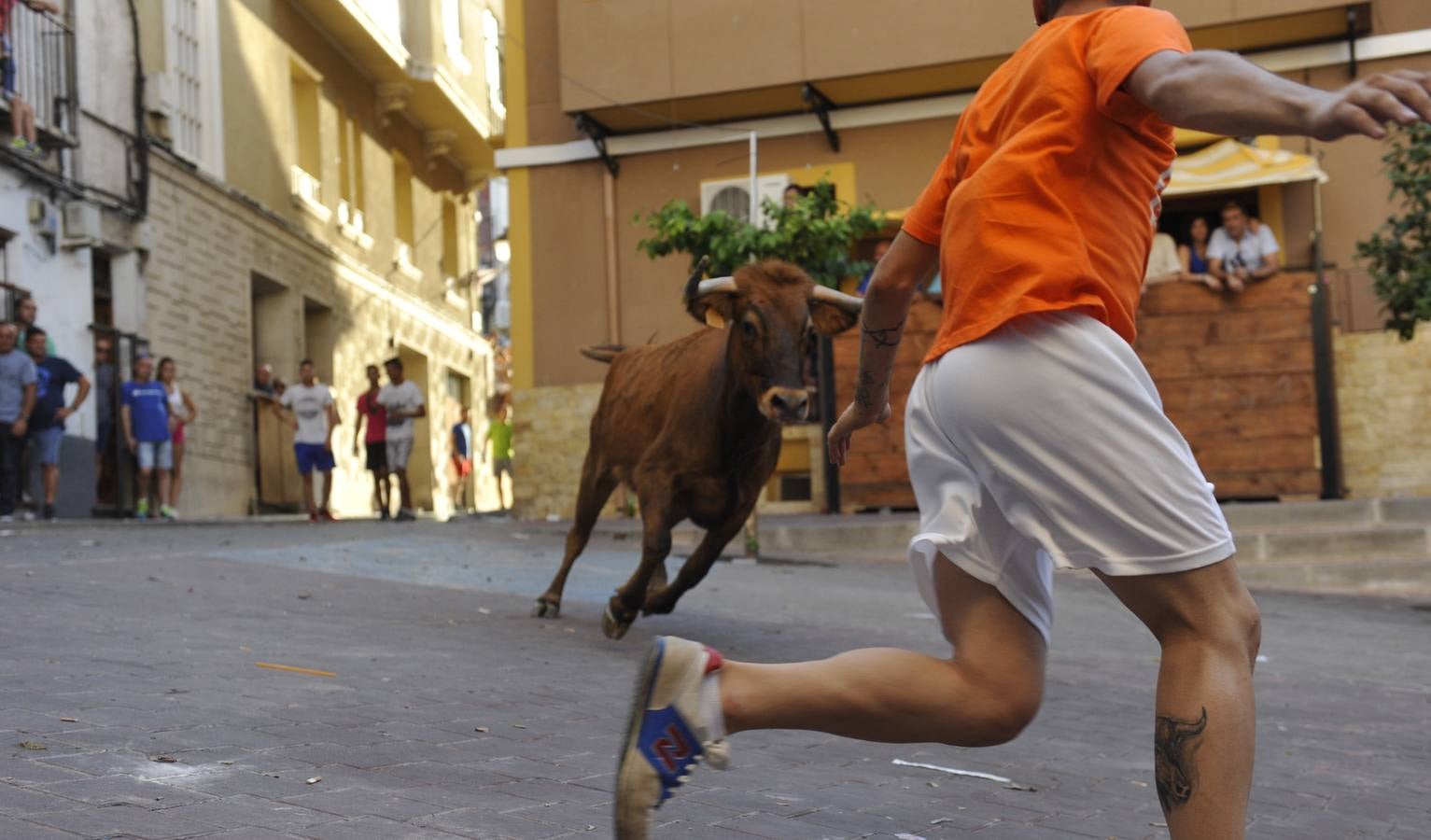 Segundo encierro de las fiestas de Moratalla