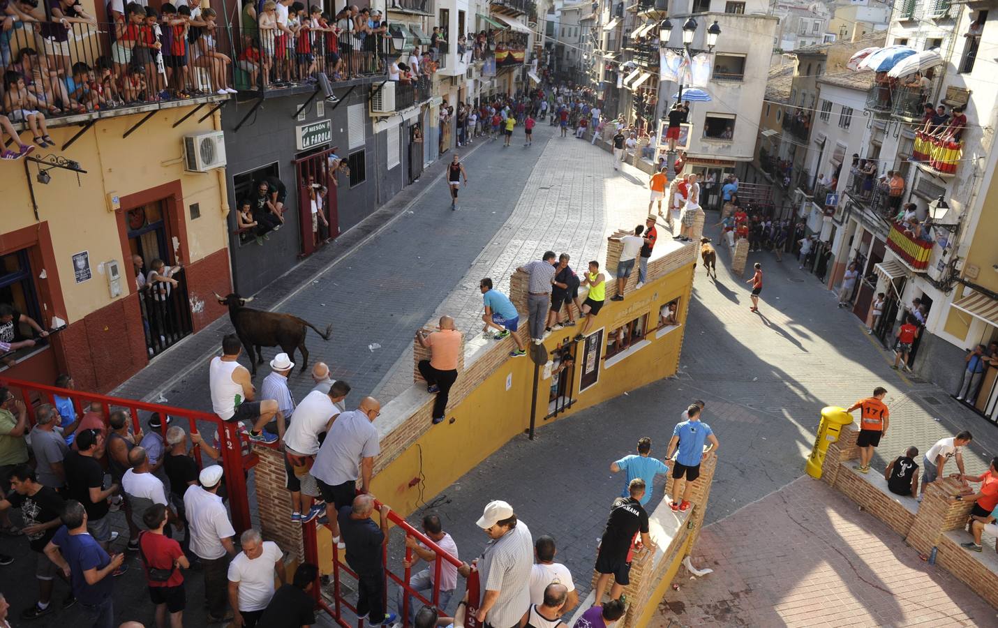 Segundo encierro de las fiestas de Moratalla