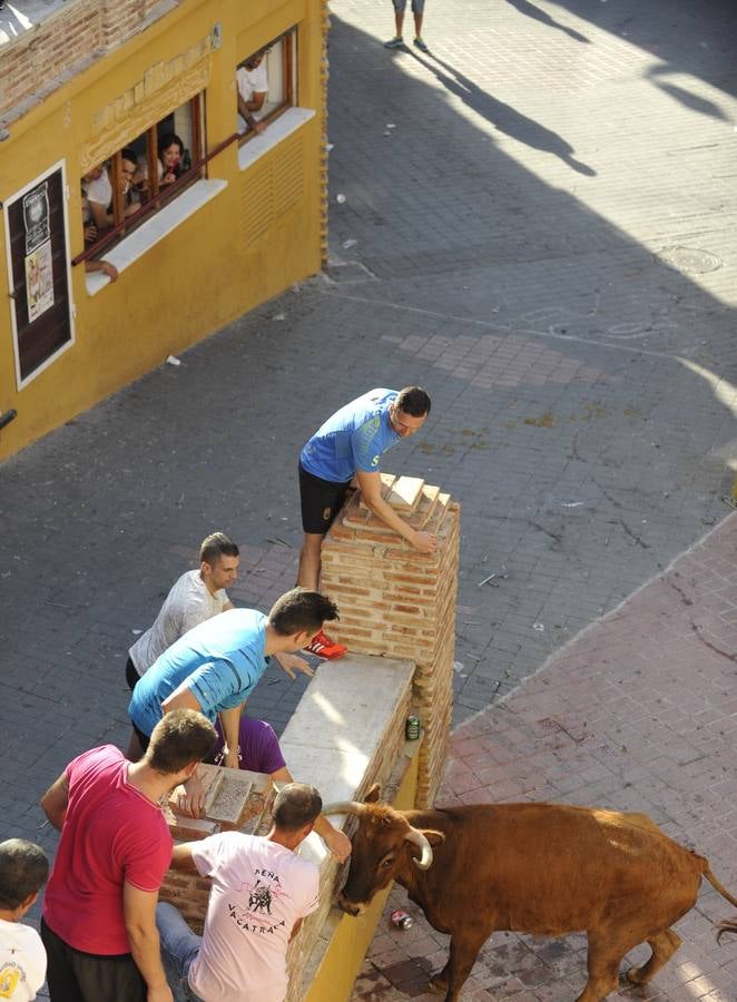 Segundo encierro de las fiestas de Moratalla