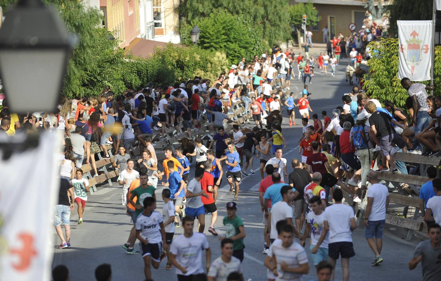Segundo encierro de las fiestas de Moratalla