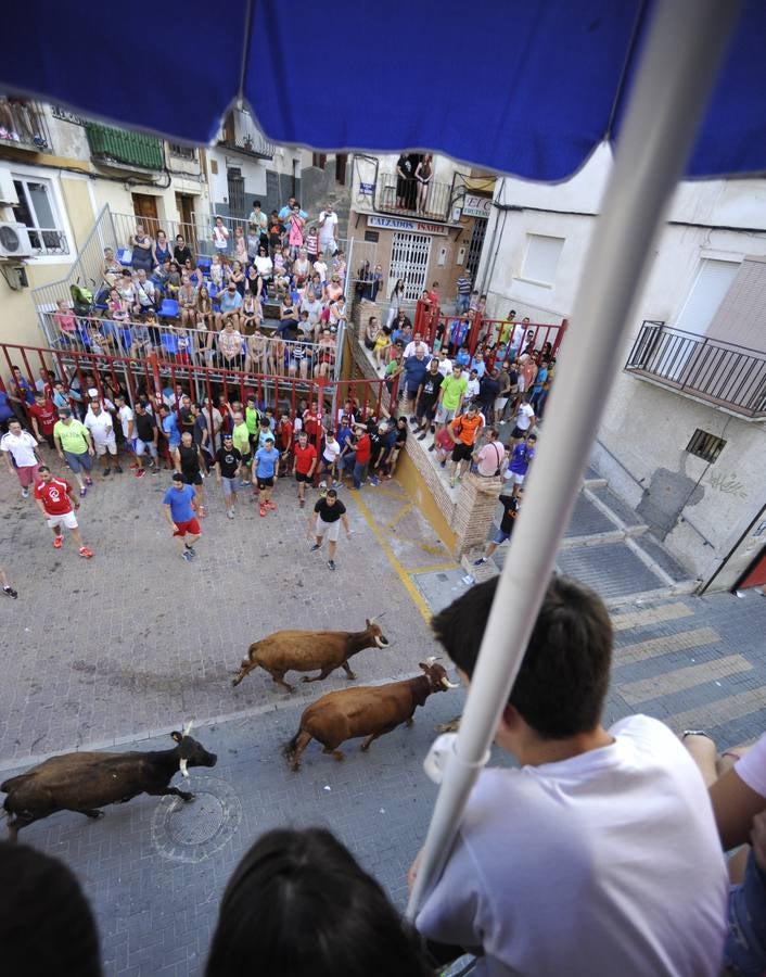Segundo encierro de las fiestas de Moratalla