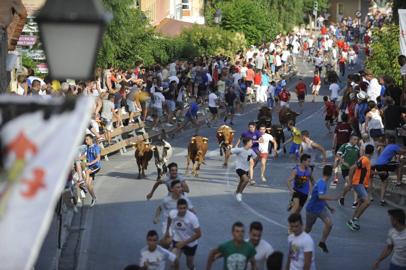 Segundo encierro de las fiestas de Moratalla