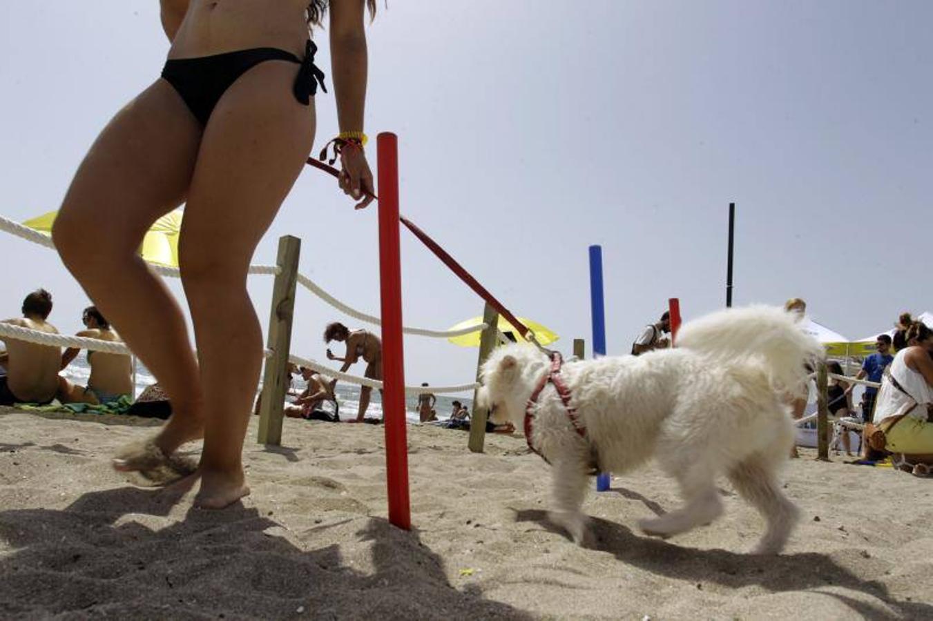 Una playa de cine