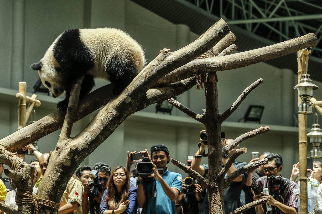 Un cumpleaños adorable