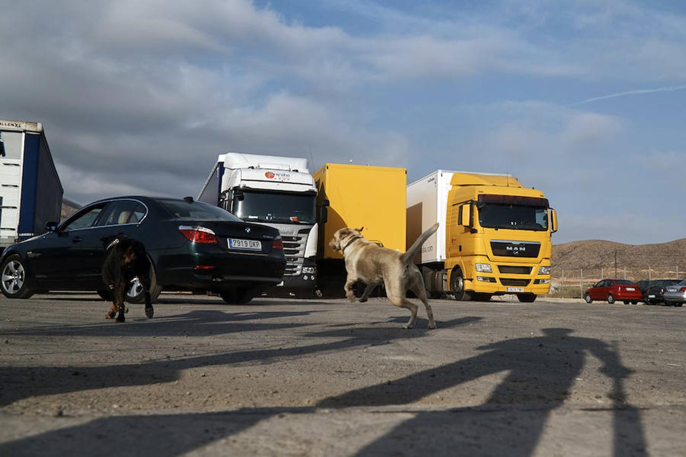 Denuncian el robo de camiones por bandas organizadas en la Vega Baja