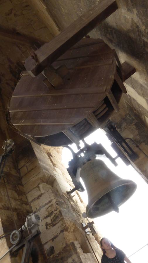 Visitas a la torre de la catedral de Orihuela