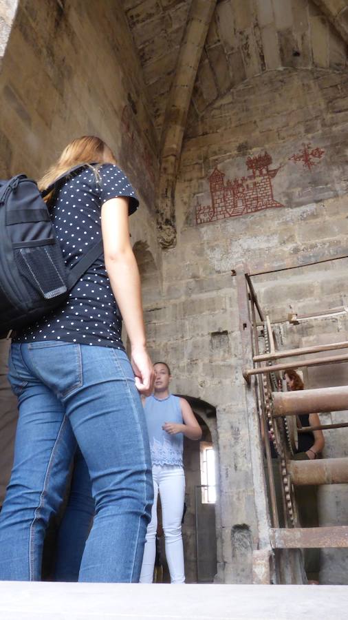 Visitas a la torre de la catedral de Orihuela