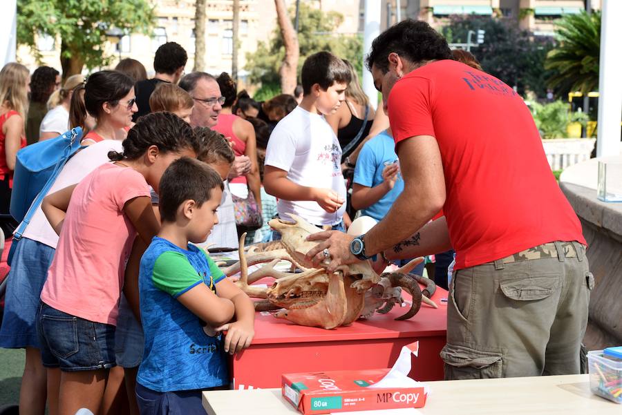 Los animales se apuntan a la Feria