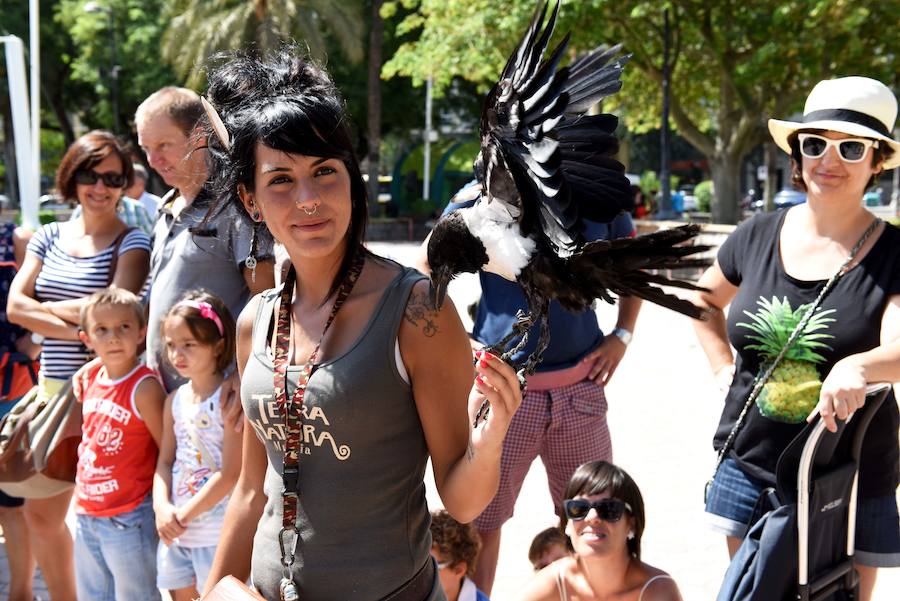 Los animales se apuntan a la Feria