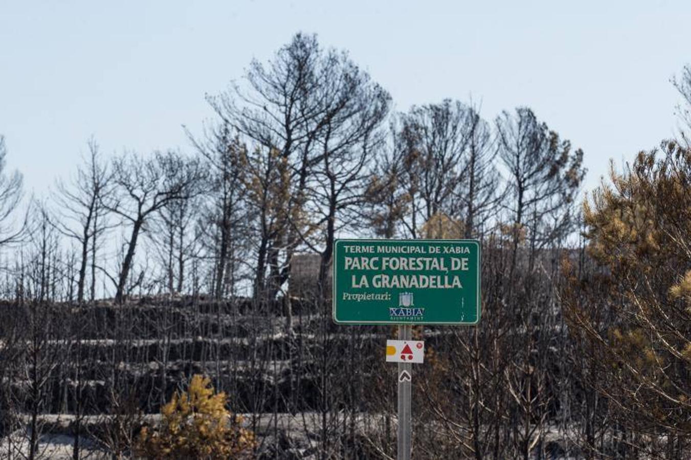 Xàbia y Benitatxell, calcinadas tras el incendio