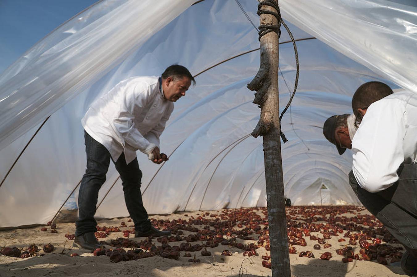 Cocineros de la provincia impulsan la denominación de origen de la ñora