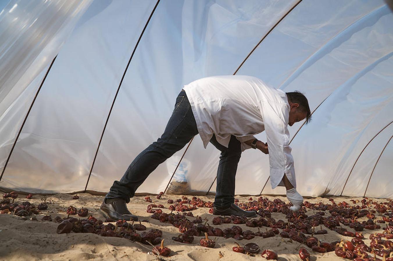 Cocineros de la provincia impulsan la denominación de origen de la ñora