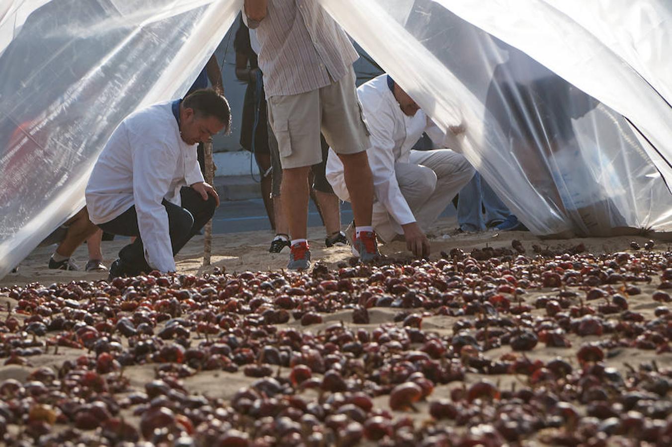 Cocineros de la provincia impulsan la denominación de origen de la ñora