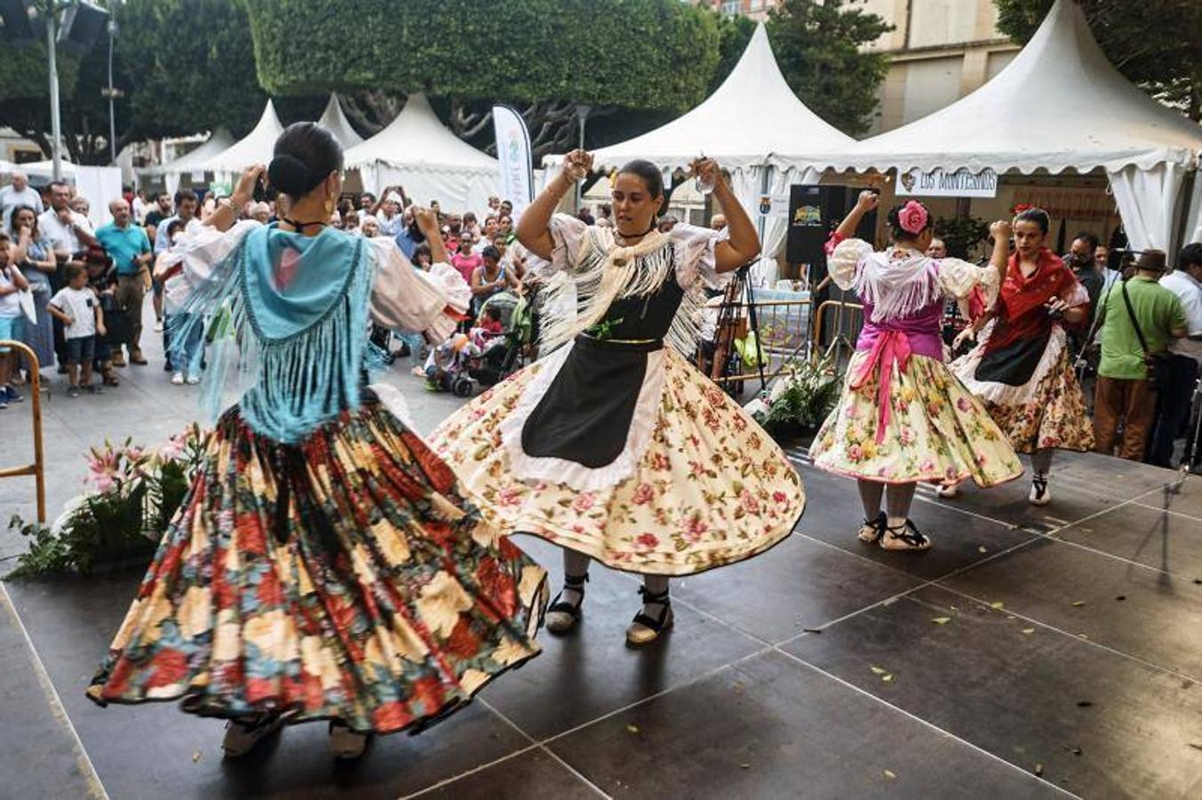 Oferta turística on visión global en Almoradí