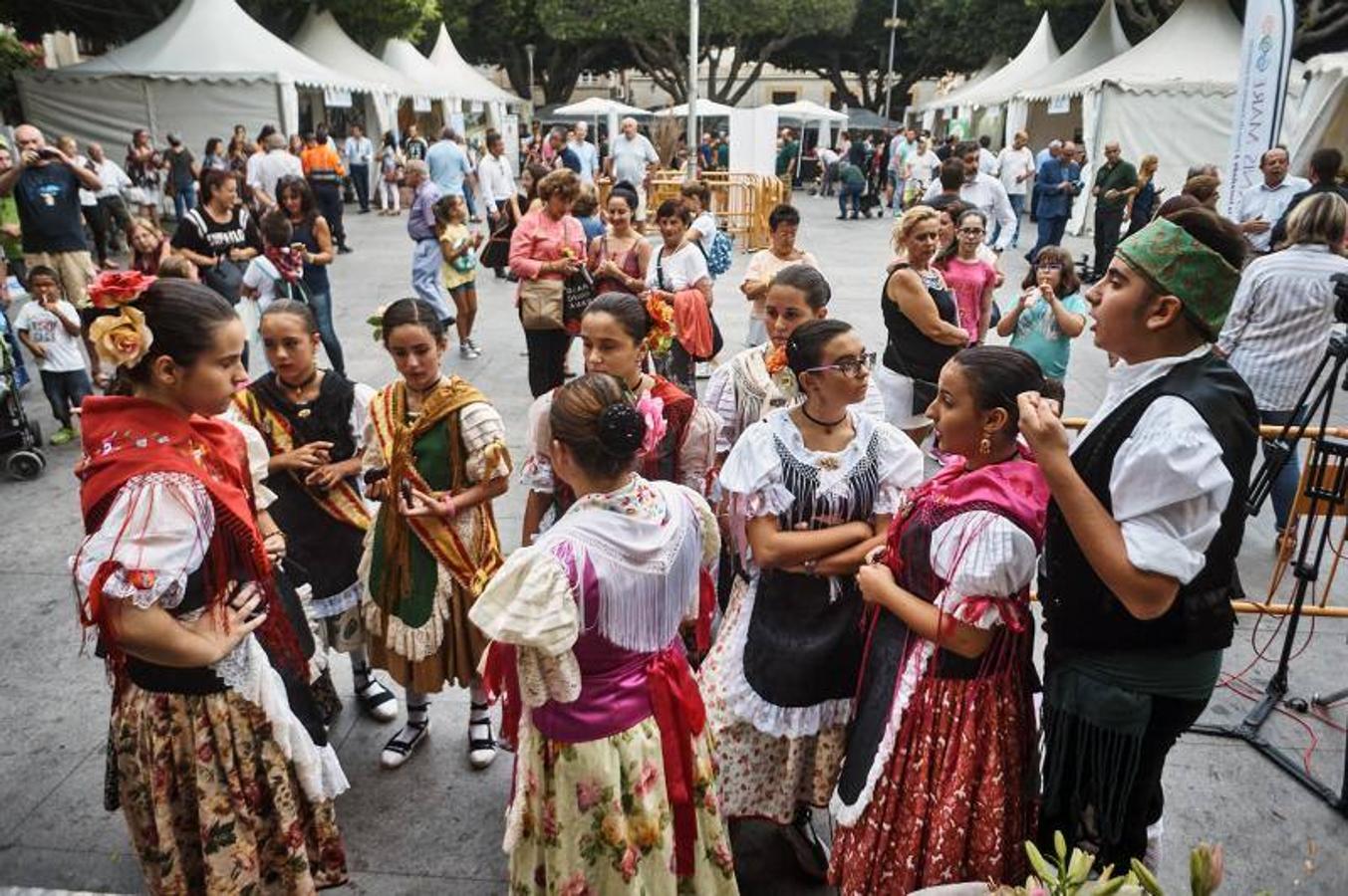 Oferta turística on visión global en Almoradí