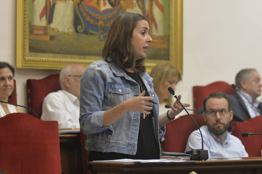 Sesión plenaria en Elche