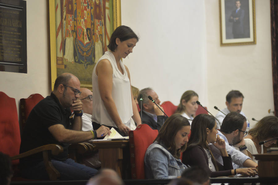 Sesión plenaria en Elche