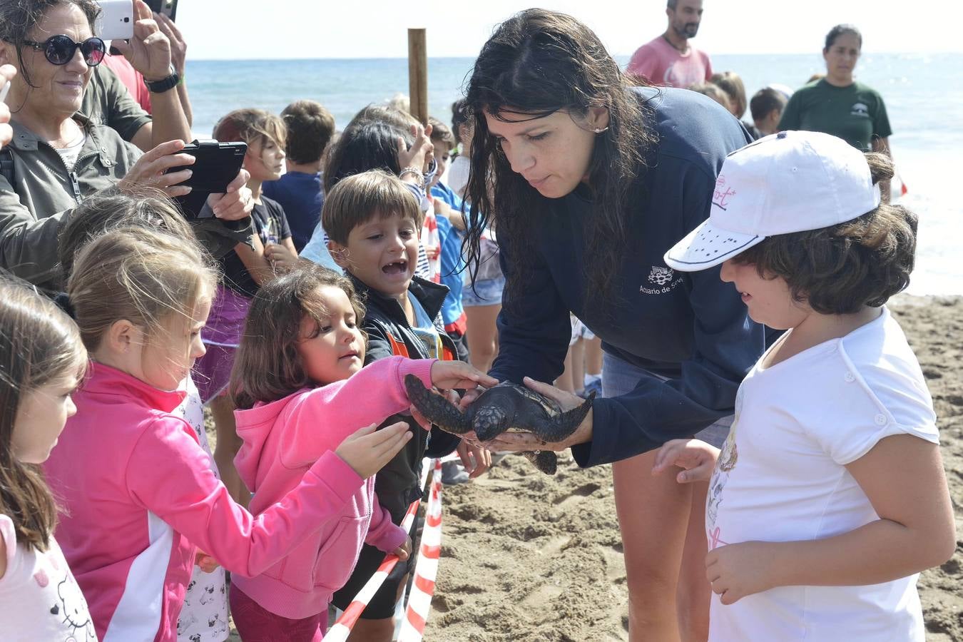 Liberan trece crías de tortuga boba marcadas para conocer sus migraciones