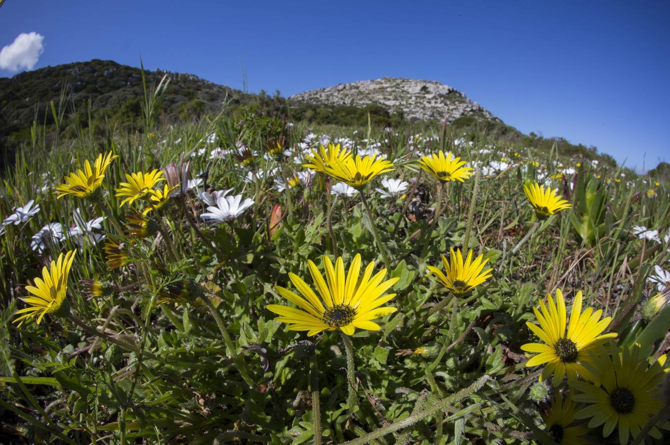 Vida tras el incendio