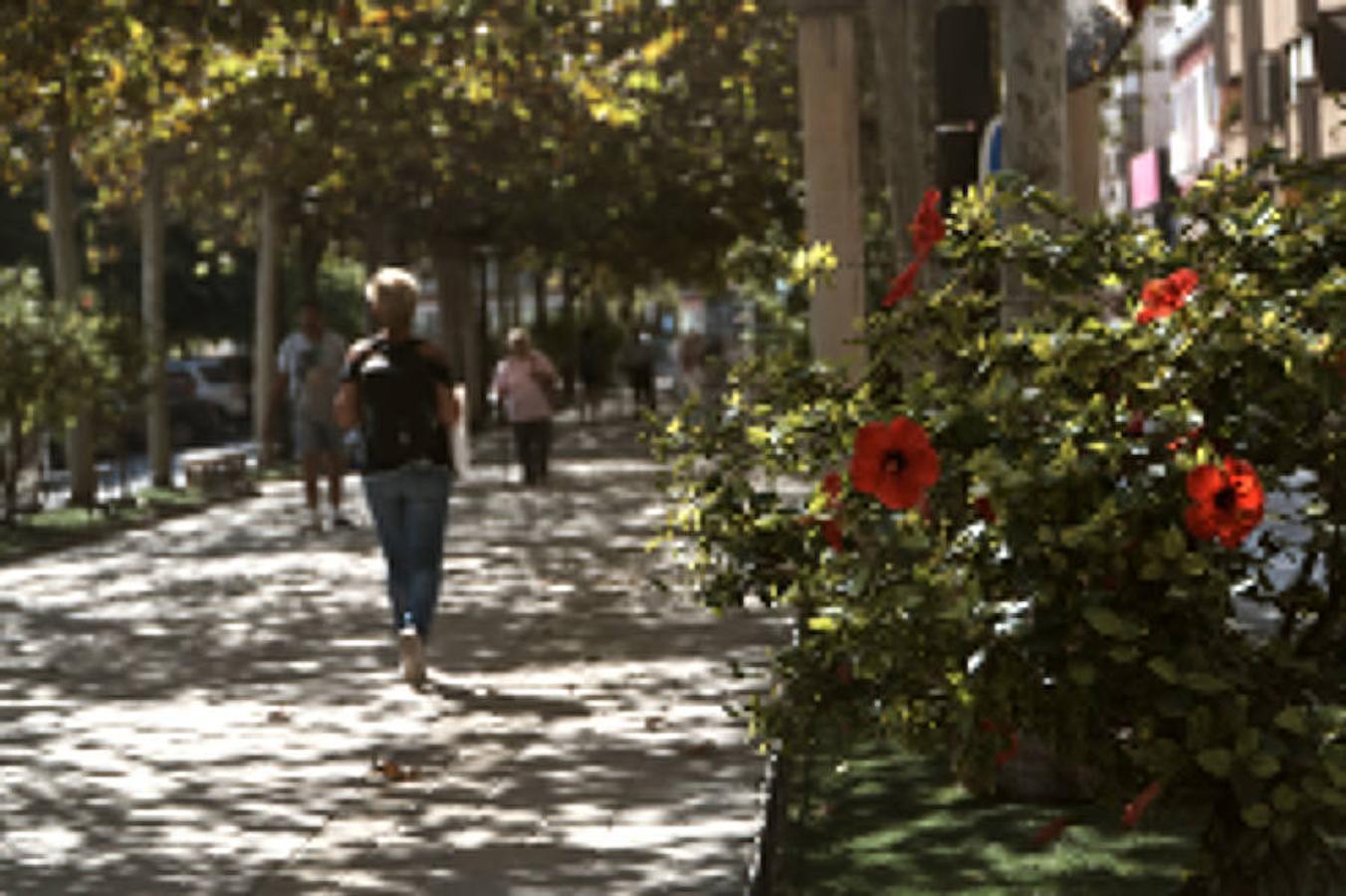 La Diputación costeará con 800.000 euros las obras de remodelación de Los Andenes