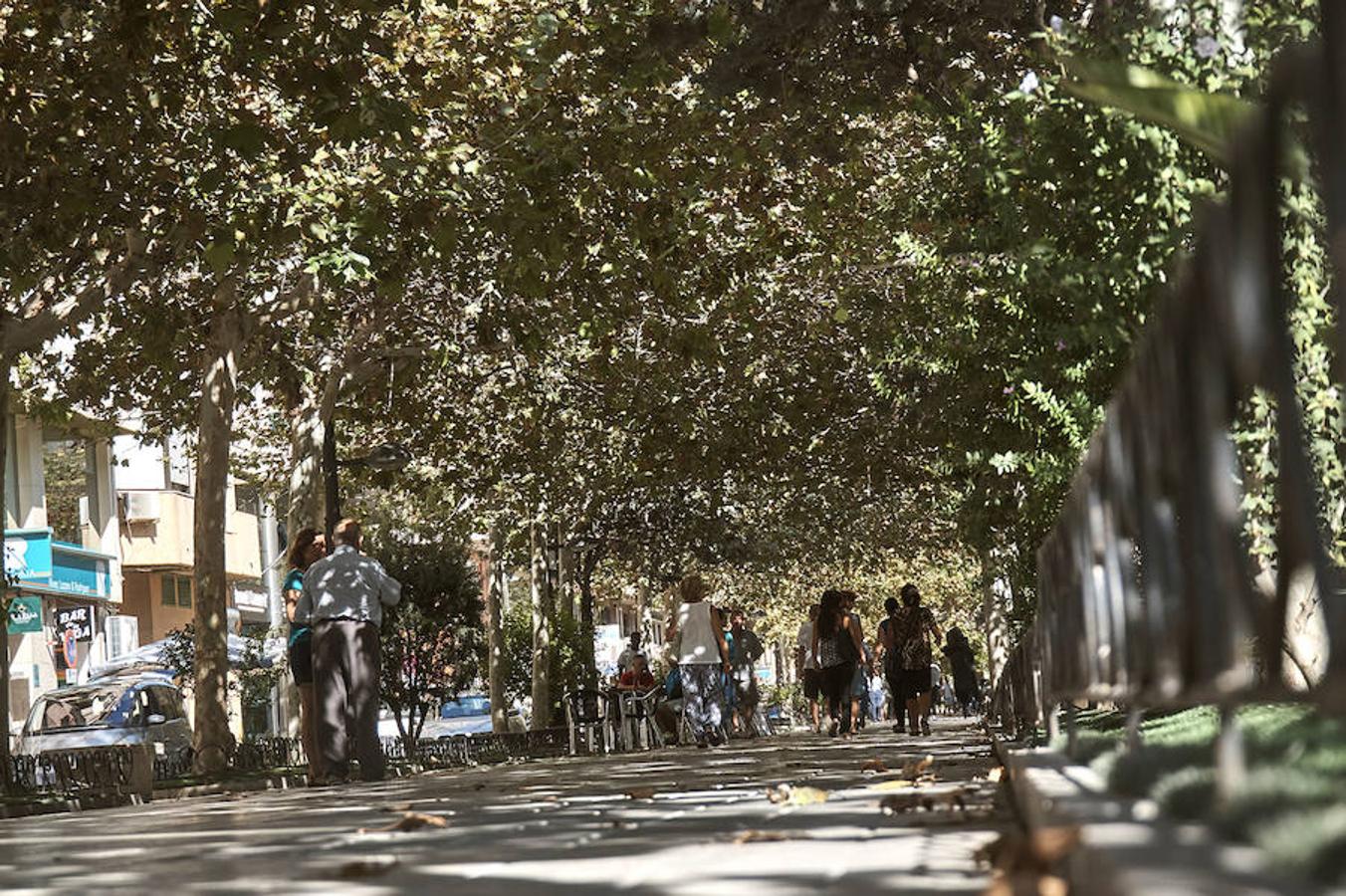 La Diputación costeará con 800.000 euros las obras de remodelación de Los Andenes