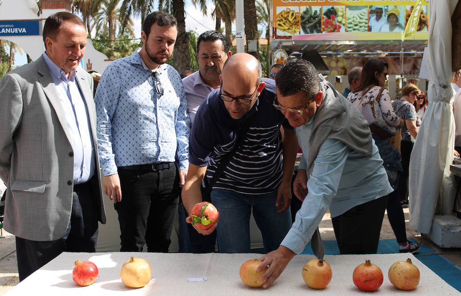 Concurso de pela de la granada mollar