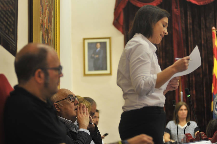 Pleno en el Ayuntamiento de Elche