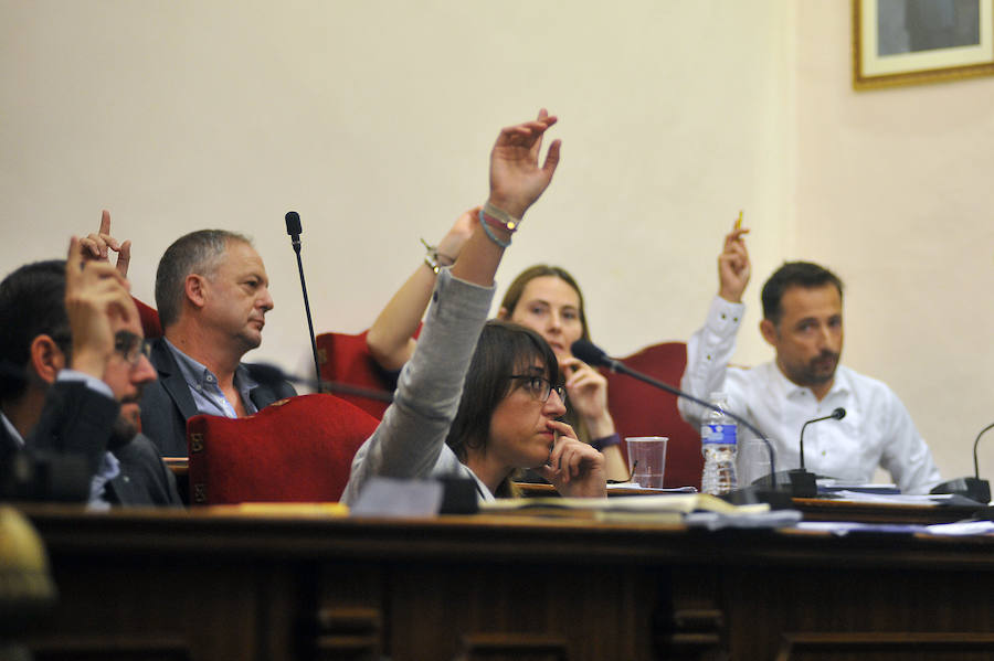 Pleno en el Ayuntamiento de Elche