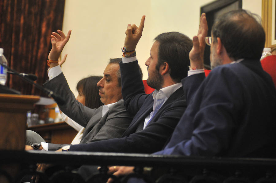 Pleno en el Ayuntamiento de Elche