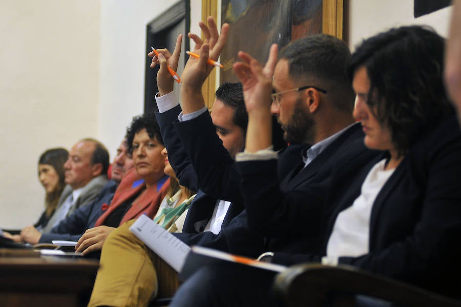 Pleno en el Ayuntamiento de Elche