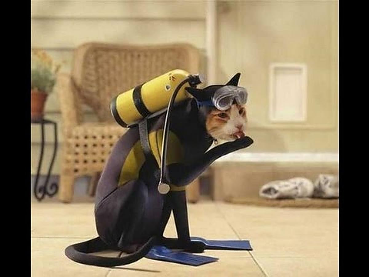 El gato submarinista. 
