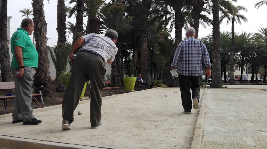 Reapertura del CEAM de Elche