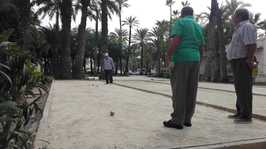 Reapertura del CEAM de Elche