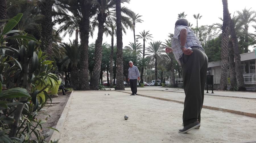 Reapertura del CEAM de Elche