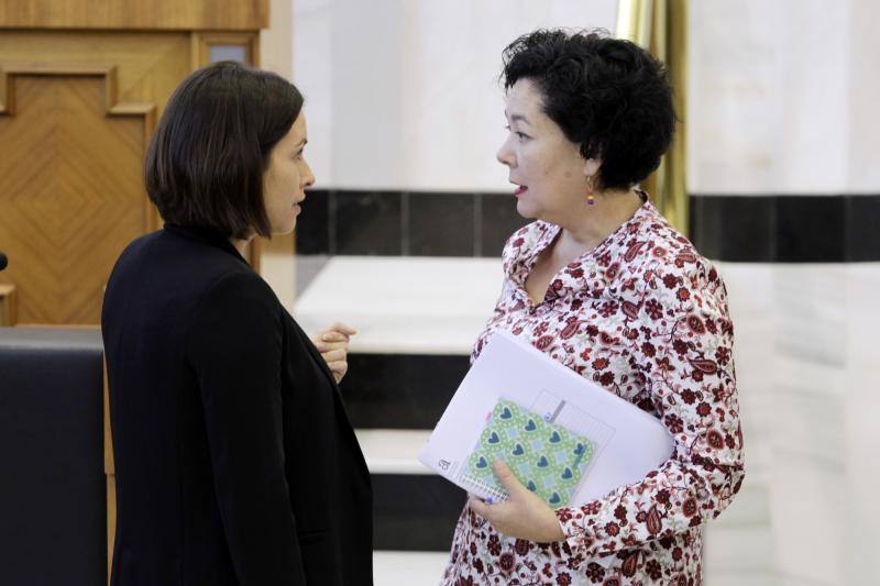 Las imágenes del último pleno de la Diputación