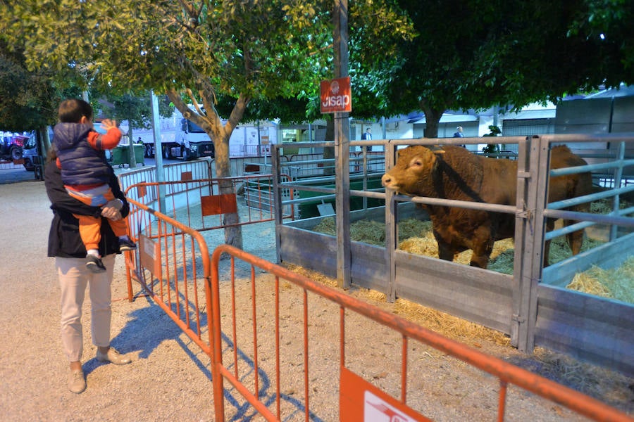 Arte de pata negra en &#039;Iberian Pork Parade&#039;